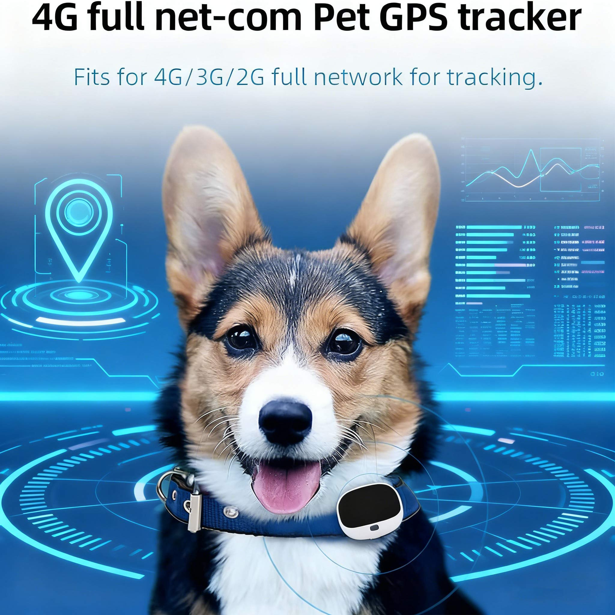 10 4G GPS Pet Tracking 10 4G GPS Pet Tracking