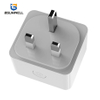 PS313 UK Type 10A 2400W WIFI Wireless Smart Plug Socket