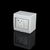 PS2-FHS 1 Gang 2 Way Switch Socket