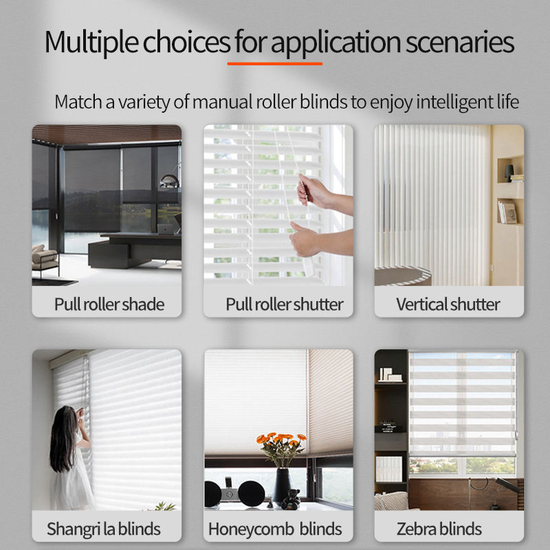 Alexa Google Smart Life App Remote Control Motorized Roller Zebra Blinds Curtain Chain Motor Smart Curtain Venetian Minimalist