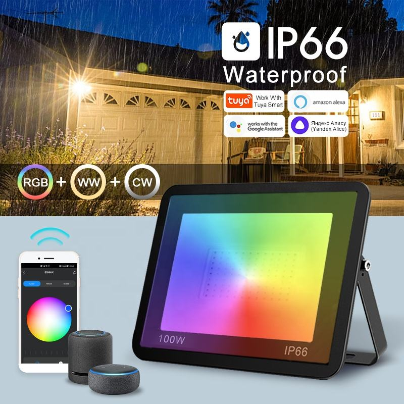 IP66 Waterproof Outdoor Tree Garden Floodlight LED Flood Light 30w 50w 100w RGB+W+C Multicolor Smart IR Remote Control 100W CE