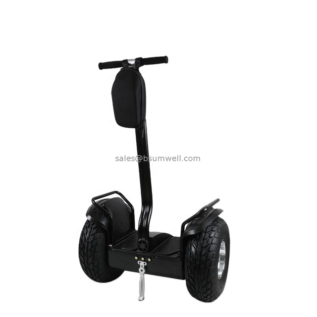 48V 2000W 19 Inch Fat Tire Electric Convenient Covered Self Balanced Scooter Electric Kick Scooters & Foot Scooters