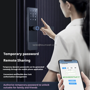 High Security Electric Digital Fingerprint Password digital lock for main door
