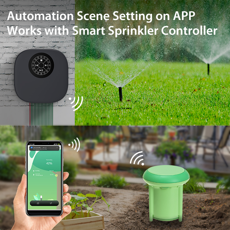 Auto-Update Every 10 Minutes Zigbee Soil Temperature And Humidity Tester