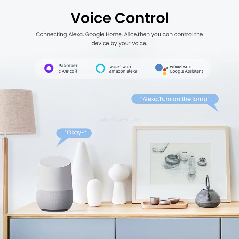 Voice Control Connecting Alexa, Google Home, Alice, then you can control the device by your voice.