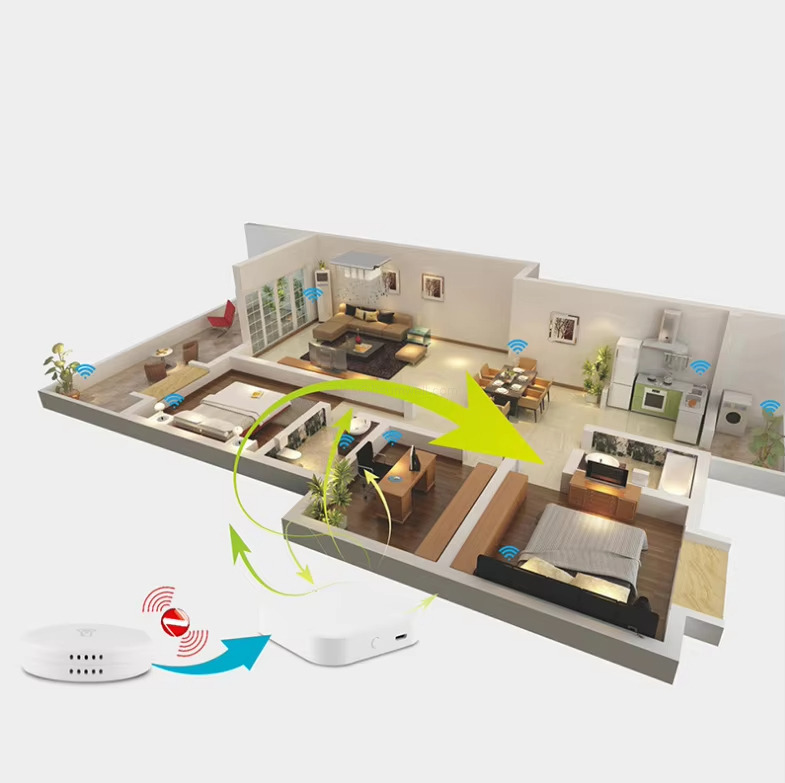 real-time monitoring of temperature and humidity changes