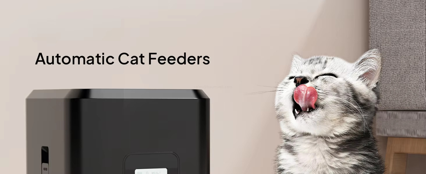 Automatic Dog Feeder