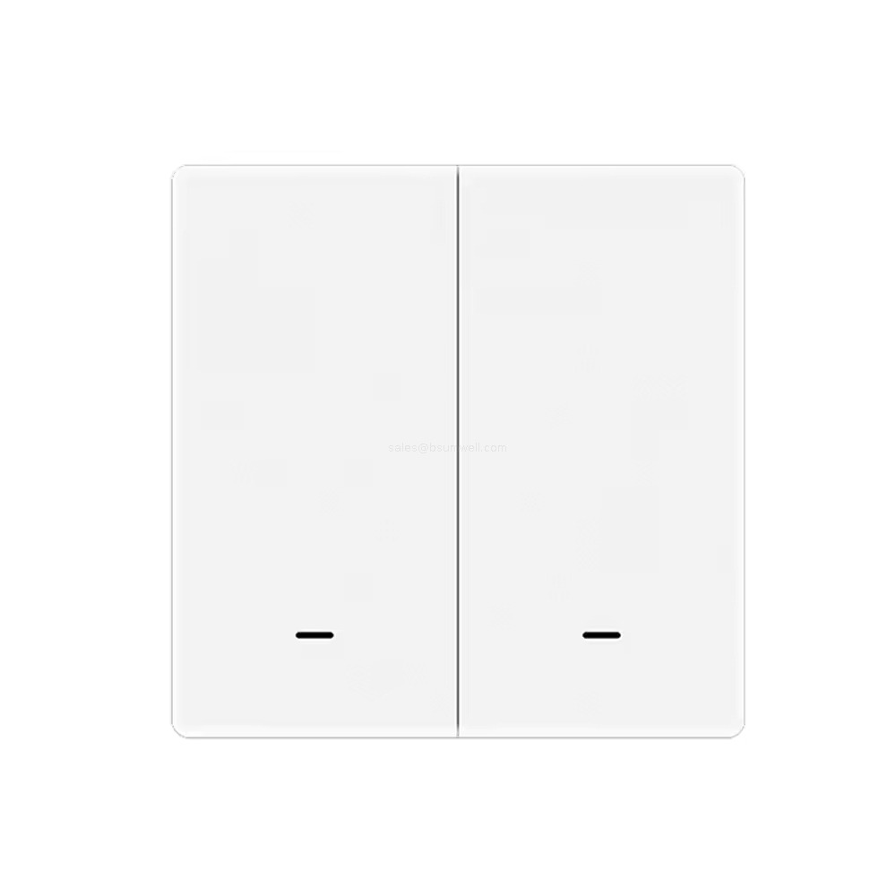 Alexa Google voice control smart switch