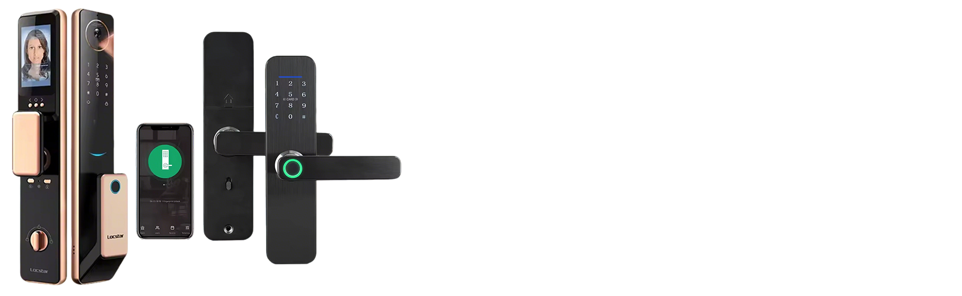 Face Fingerprint Scanner Double Door Lock
