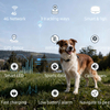 APP Navigate Pet cat locator collar