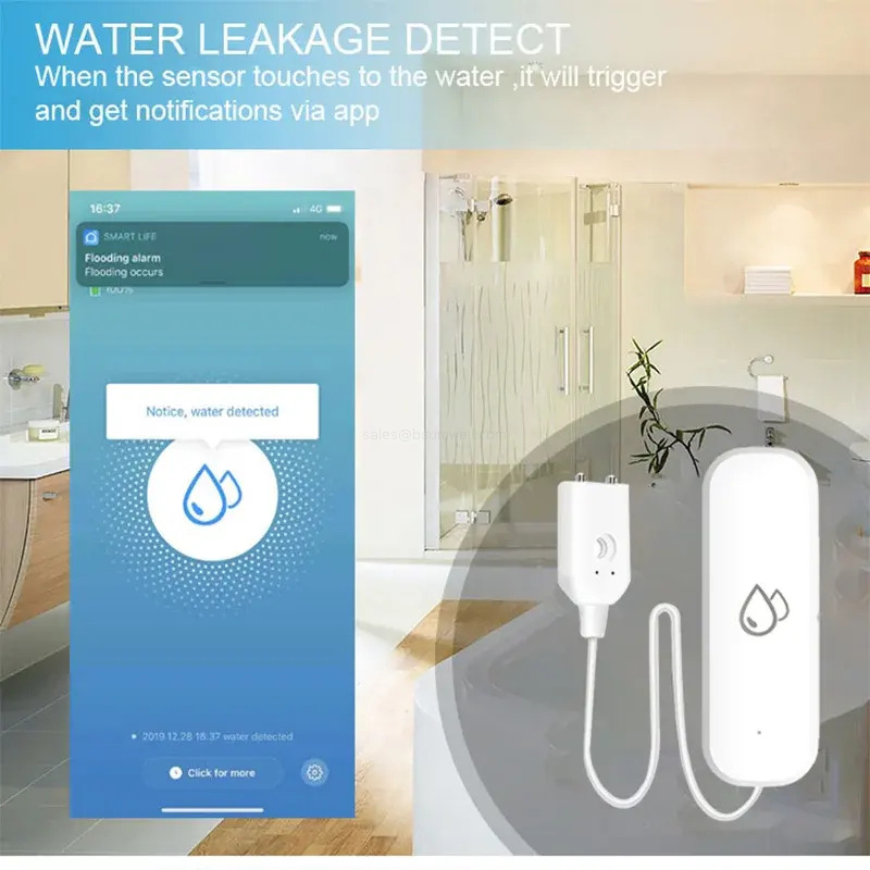 Wireless leakage monitor