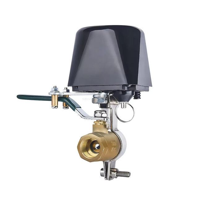 Smart Matter Automatic Smart Wifi App Control Tuya Gas Motor Valve Water Level Controller Valve
