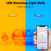 Music Sync RGB Smart Bulb