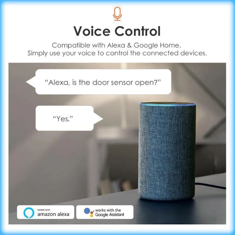 Alexa Google Home Door Sensor
