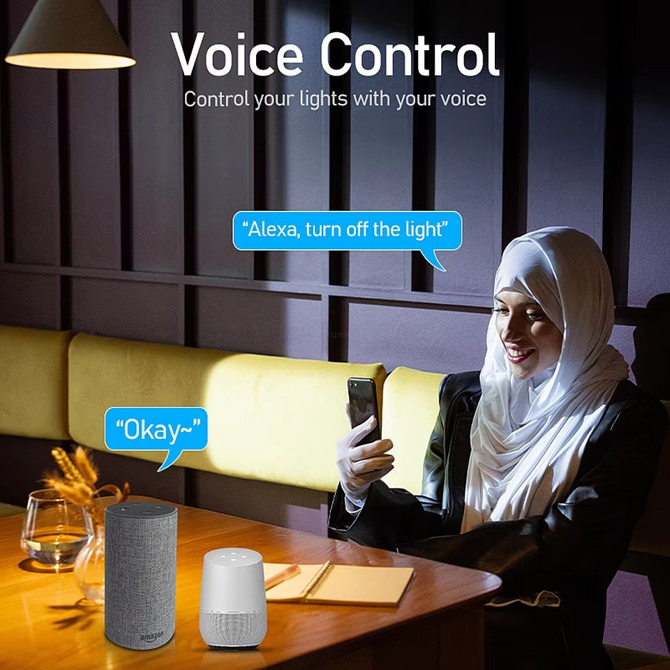 Control your lights with your voice