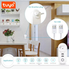 16A 10A Voice Control Smart Plug