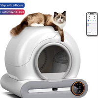 Automatic Cat Litter Box