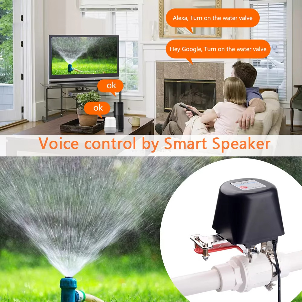 Voice control by Smart Speaker