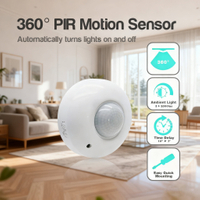 motion sensor switch