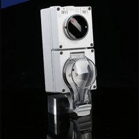 outdoor lighting control outlet American-style switched outlet