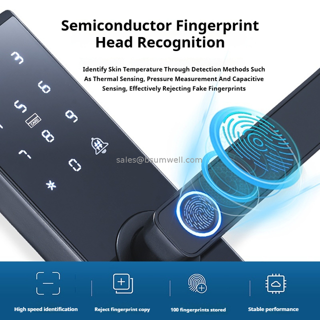 Wholesale Price Fingerprint Cerradura Tuya WiFi App smart lock door handle