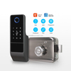 Waterproof Tuya Smart Life Wifi App Electric deadbolt keyless entry door lock