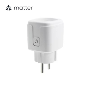 Matter Plug