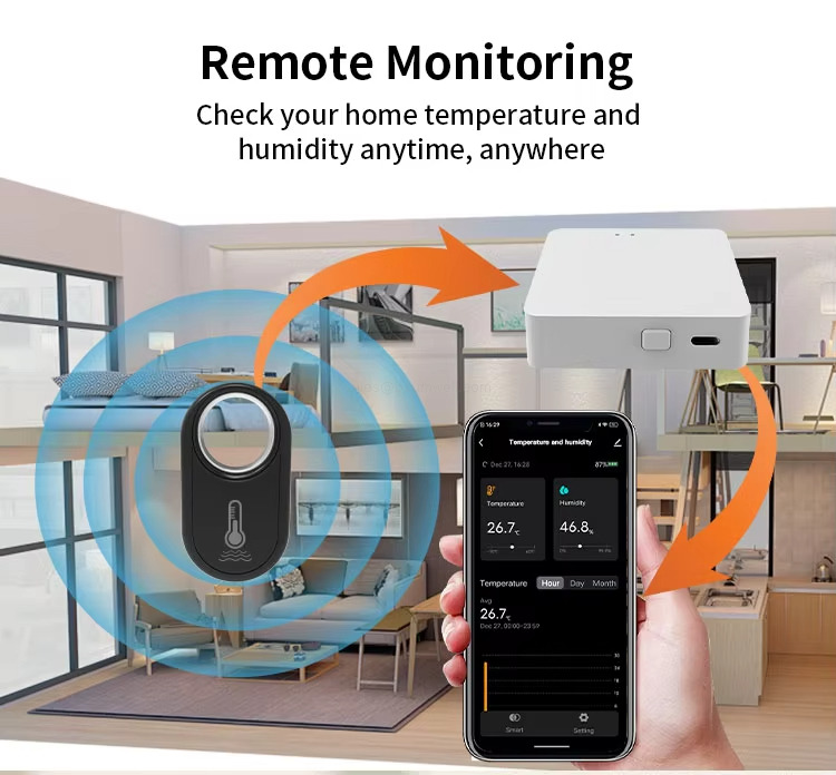 Remote Monitoring