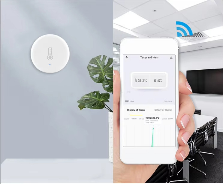 Hygrometer Gauge Work With Alexa,Google
