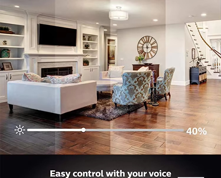 Easy control with your voice