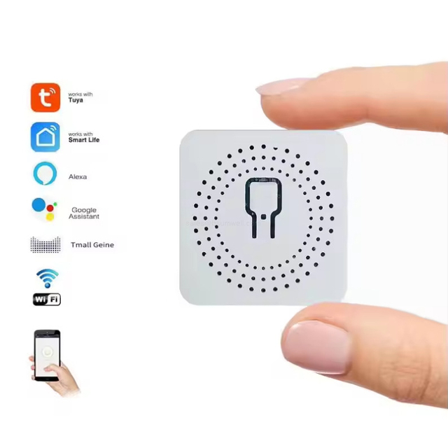 Dual-control smart home switch