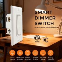 Alexa compatible dimmer switch