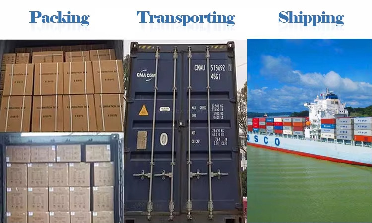 Pacing Tansporting Shipping