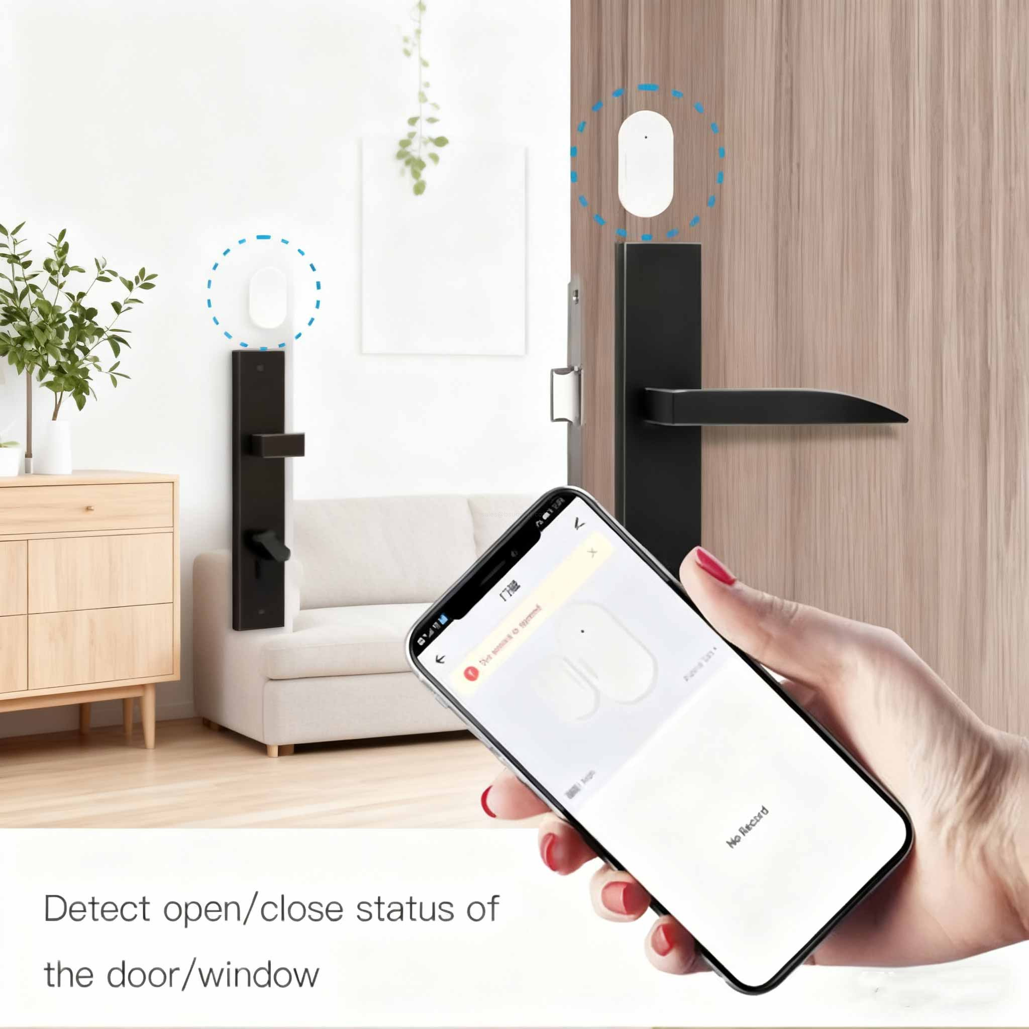 DIY Install Alexa/Google Home Detector