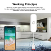 Remote water alarm