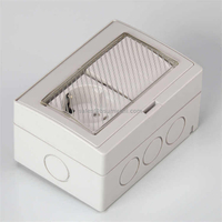 Multi-function Weatherproof Switch Socket 2 Gang Switch 1Gang Socket Ip55 Outdoor Switch And Socket