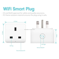 Wholesale Enabled Tuya/Smart Life Wifi Plug UK/EU/US Work with Alexa Google Home Usb Mini Wifi Adapter