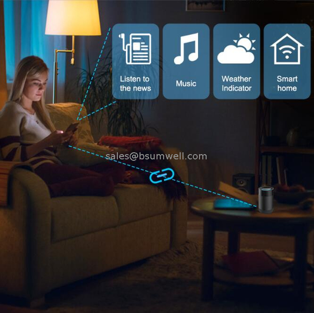 Smart Life WiFi Echo Dot Smart Speaker Alexa Voice Google Home Assistant Wireless Controlled by Tuya APP