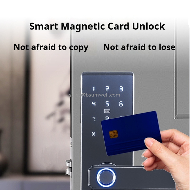 High Security Electric Digital Fingerprint Password digital lock for main door