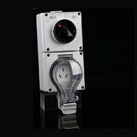 Single Switch + 16A Three-Pin Socket IP66 Independent On/Off Control for Pump/EV Charging | Weatherproof with Lockable Cover