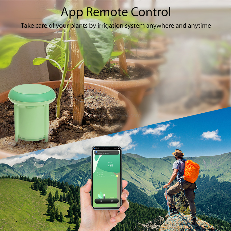 Real-Time App Management Customizable Triggers soil Moisture Sensor
