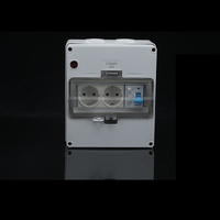 1-gang switch dual EU sockets