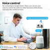 16A Italian Smart Plug