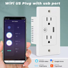 US Wall Smart Socket with USB