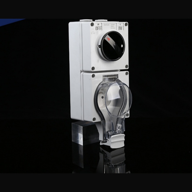 Single Pole Switch with Outlet