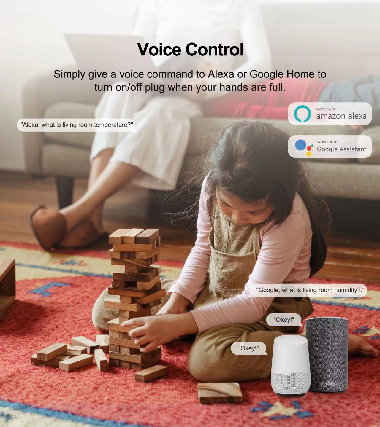 Voice Control