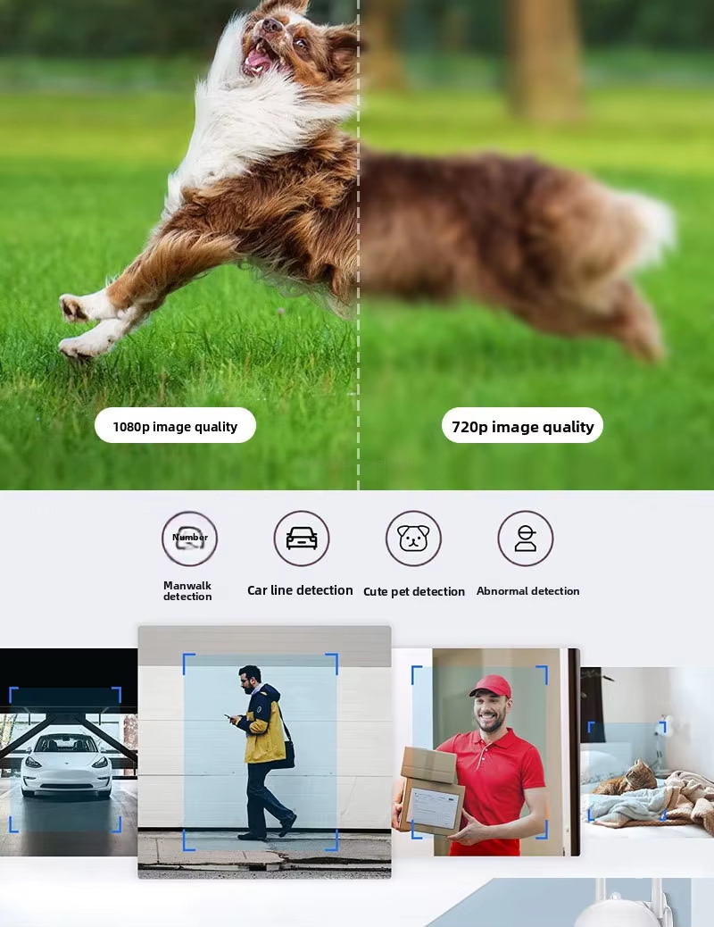 Manwalkdetection Car line detection Cute pet detection Abnormal detection
