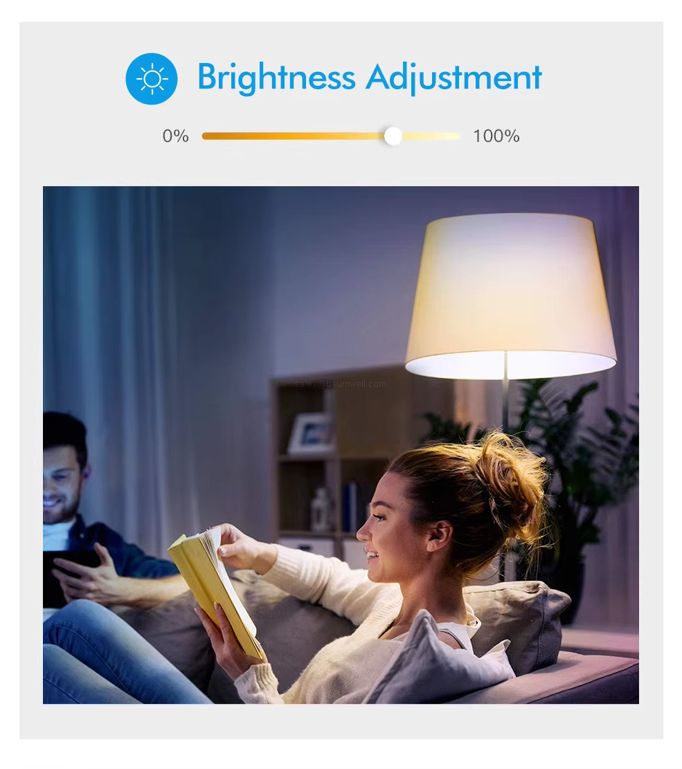 Brightness Adjustment