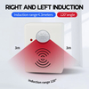Battery Operated Motion Sensor Light