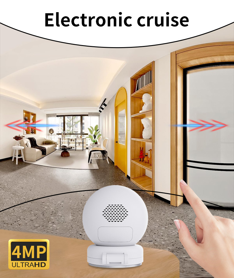 Electronic cruise